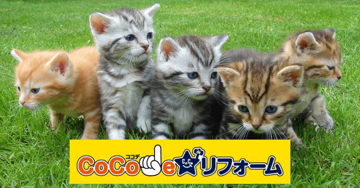 東海ラジオ 大感謝祭 2018-保護猫チャリティ開催(9/16・17